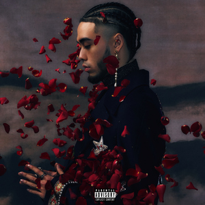 黑大炮大战欧美白妞
