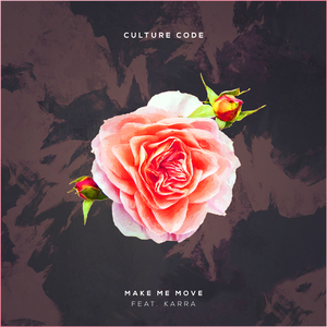 黑大炮大战欧美白妞
