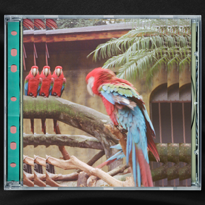 黑大炮大战欧美白妞
